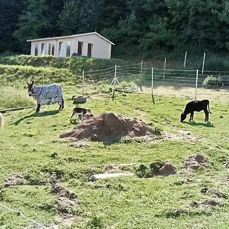Holiday home Agro Dolina Jamcito