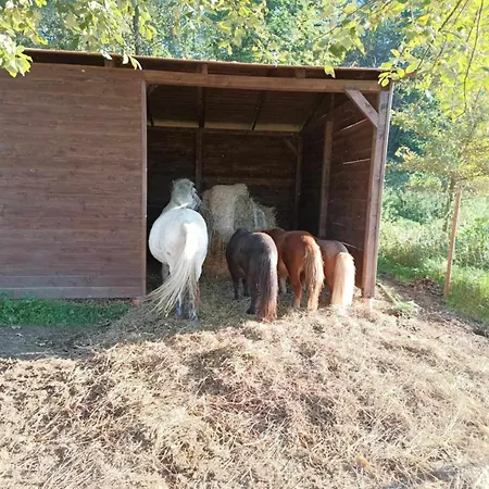 Agro Dolina Jamcito Holiday home